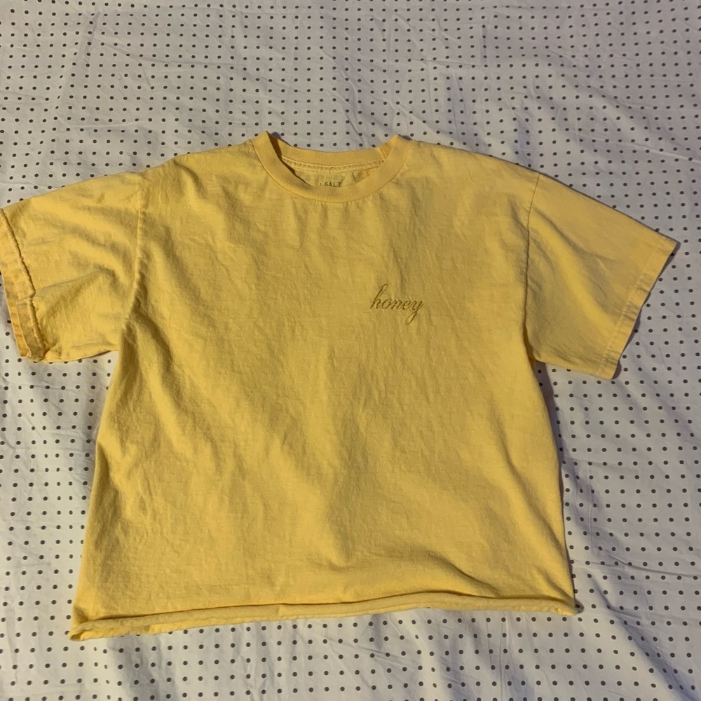 brandy melville cropped honey tee